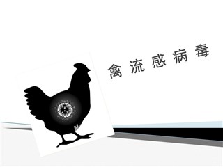 感染H7N9禽流感事件 预防治疗一个都不能少